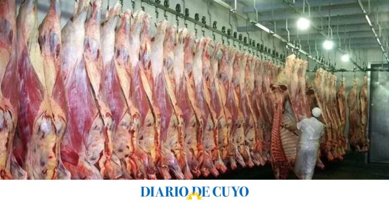 La carne vuelve a subir mientras el Gobierno amplía exportaciones a EEUU 5 La carne vuelve a subir mientras el Gobierno impulsa exportaciones y amplía cupos con EEUU