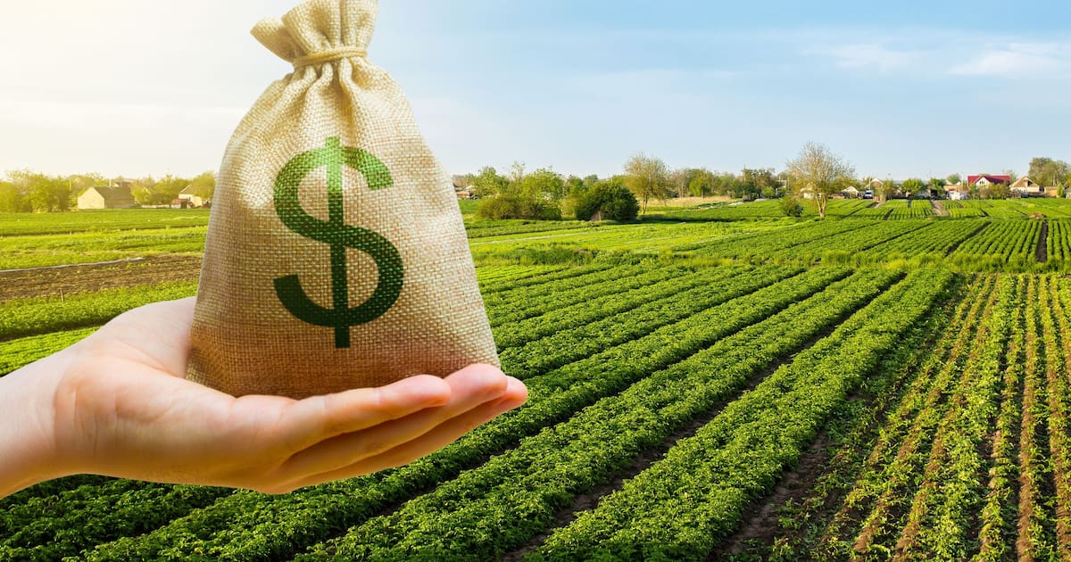 Impulso histórico al sector agropecuario con millonaria inversión de fondos federales en la Bolsa mexicana