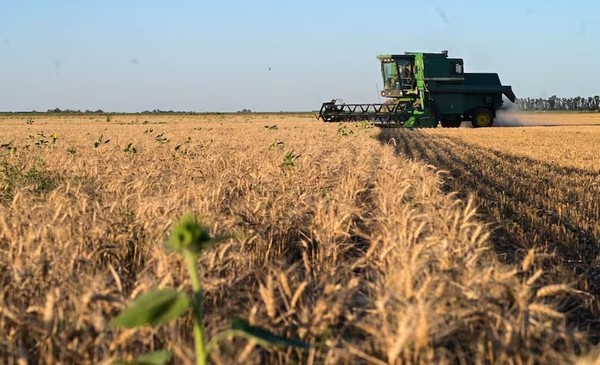 El campo vuelve a la carga y pide recorte urgente de retenciones