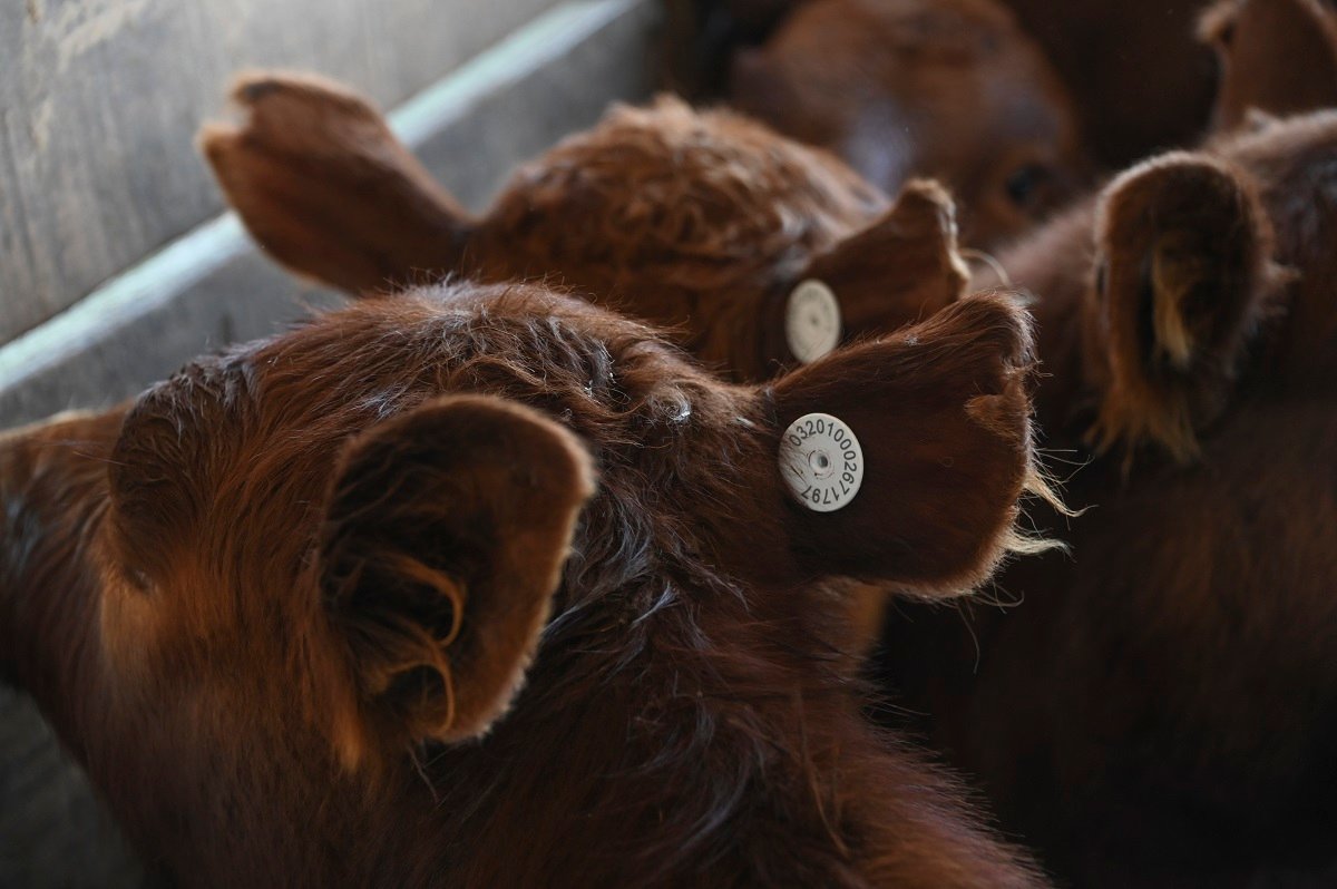 El campo exige eliminar retenciones