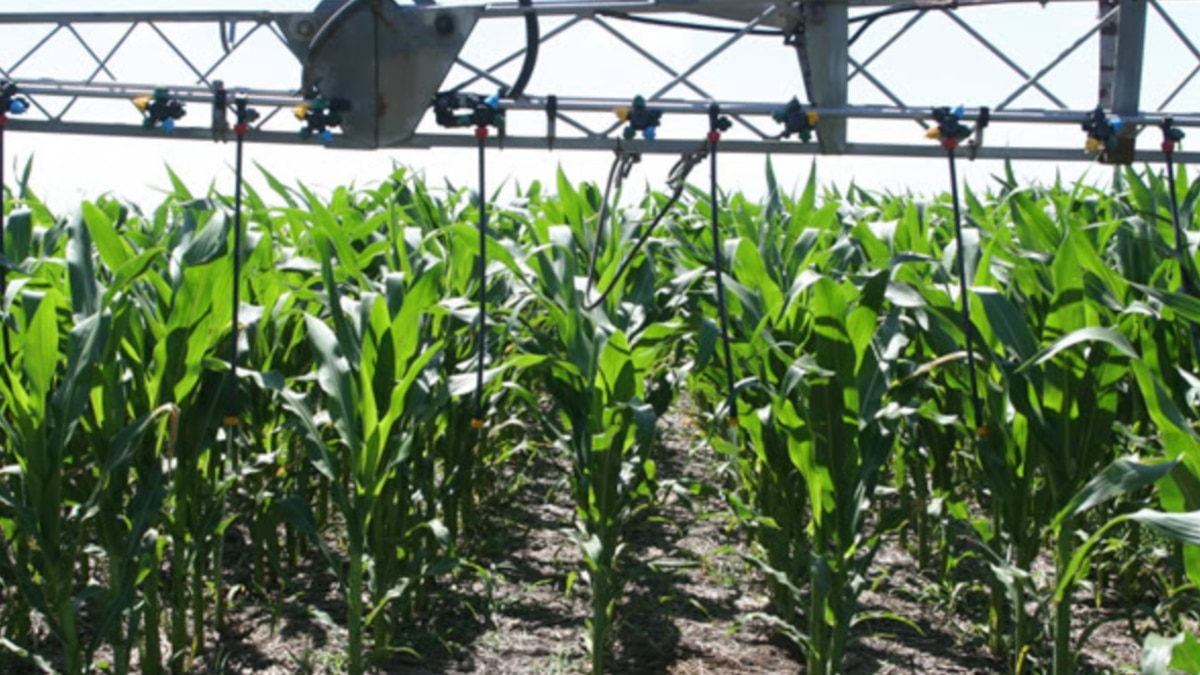 Menos burocracia para el agro: el Gobierno eliminó la obligación de presentar habilitaciones municipales